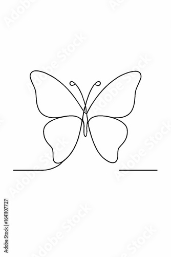 butterfly vector illustration