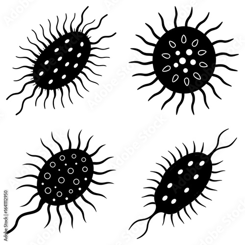 Illustration of four black and white microorganisms with spiky appendages and internal structures
