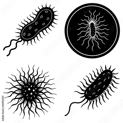 Illustration of different types of bacteria including rod shaped and spherical bacteria shapes shown here