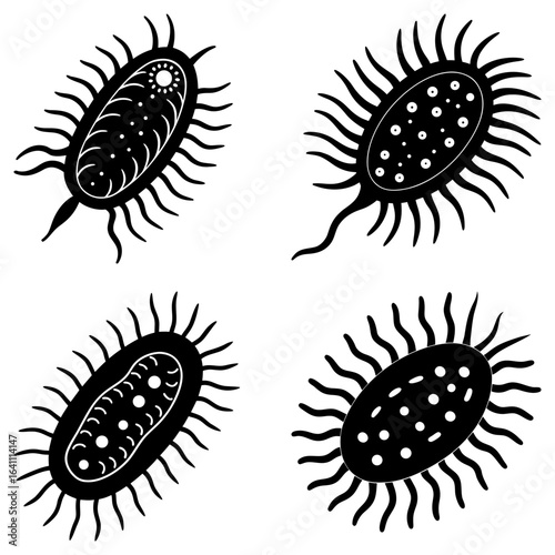 Four black and white stylized oval shaped cells with radiating projections and internal patterns shown