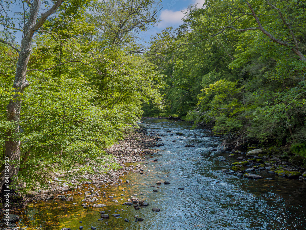 Obraz premium Millbrook Stream