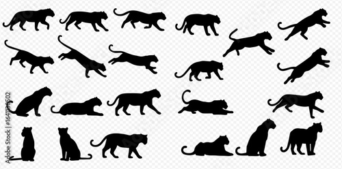 A collection of black wild cat silhouettes in various dynamic poses like walking, jumping, sitting, and lying down.