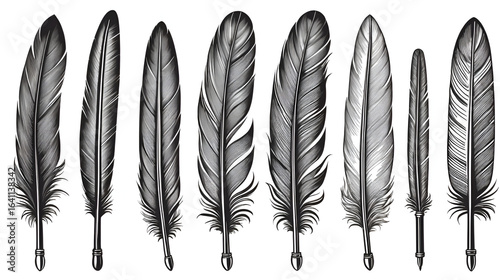 feather ink pen set woodcut engraving vector illustration