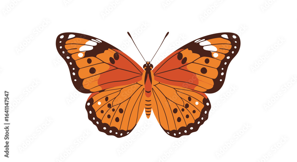 Obraz premium Detailed vector illustration of an orange butterfly with artistic wing patterns