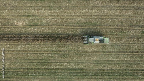 Above top view, dolly move downwards over agricultural harvester as cutting and harvesting mature undeveloped corn on farm fields, cornfield with low yield stunted plants is consequence of a drought.