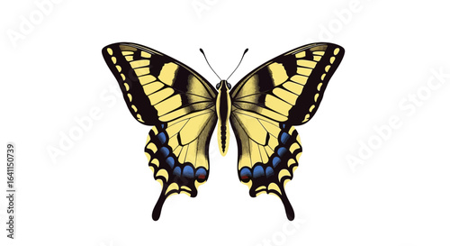 Vibrant swallowtail butterfly illustration displaying elaborate wing patterns