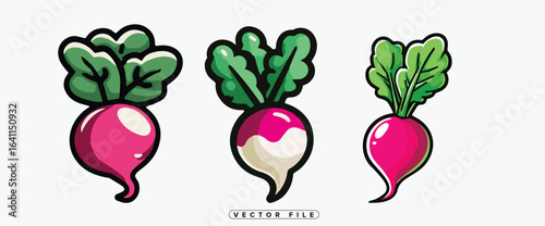 Colorful cartoon radish illustrations with green leaves on white background