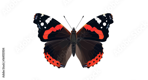 Admirable Red Admiral Butterfly vector design on an immaculate background