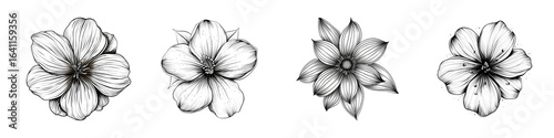 Elegant Floral Arrangement Featuring Line Art in Design