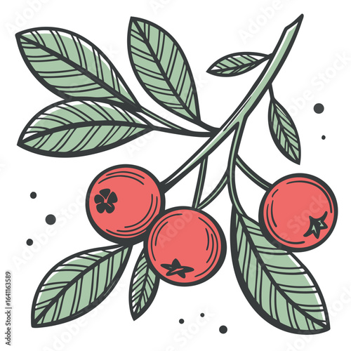Illustration of a vibrant branch adorned with ripe red berries and lush green leaves, capturing the essence of natural foliage in a stylized, hand-drawn design.