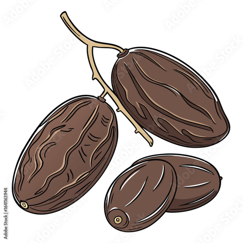 Detailed illustration of fresh organic dates, a healthy and naturally sweet fruit. 