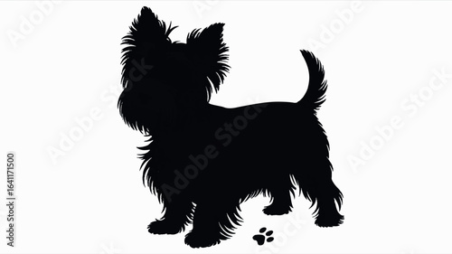 A black silhouette of a Yorkshire Terrier dog against a white background.