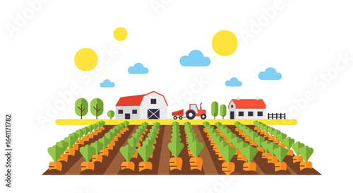 Flat vector illustration showcases a carrot farm with tractor and buildings