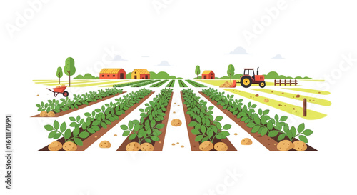 Idyllic farming landscape with potato crop and farm buildings illustration