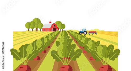 Rural Farming Scene with Beetroot Field, Tractor, Barn, and Trees Illustration