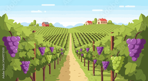 Scenic vineyard vista illustration showcasing ripening grapes on vine rows
