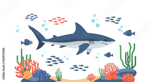 Underwater marine life featuring a shark, schools of fish, and coral reefs