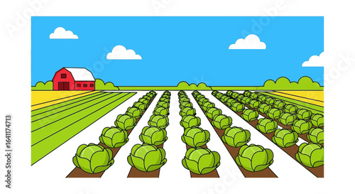 Vibrant Cabbage Field Landscape with Barn and Blue Sky Illustration