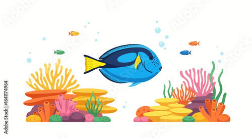 Vibrant marine life illustration featuring blue tang and coral reefs
