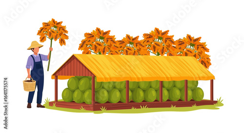 Harvest display: Farmer with melons and blossoms in a vintage setting