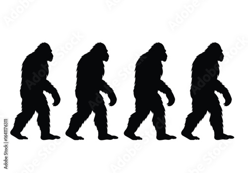 A group of silhouetted bigfoot figures walking in a line, representing the elusive cryptid and its mysterious existence isolated on white background
