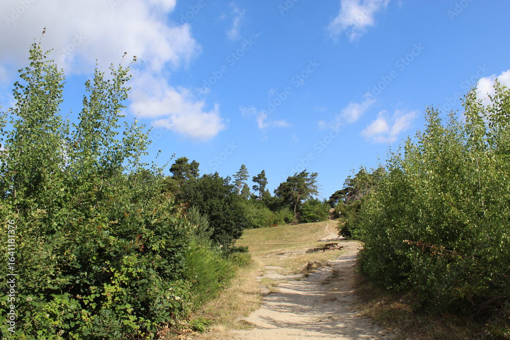 Obraz premium Auf dem Weg zur Teufelsmauer, Timmenrode, Harz