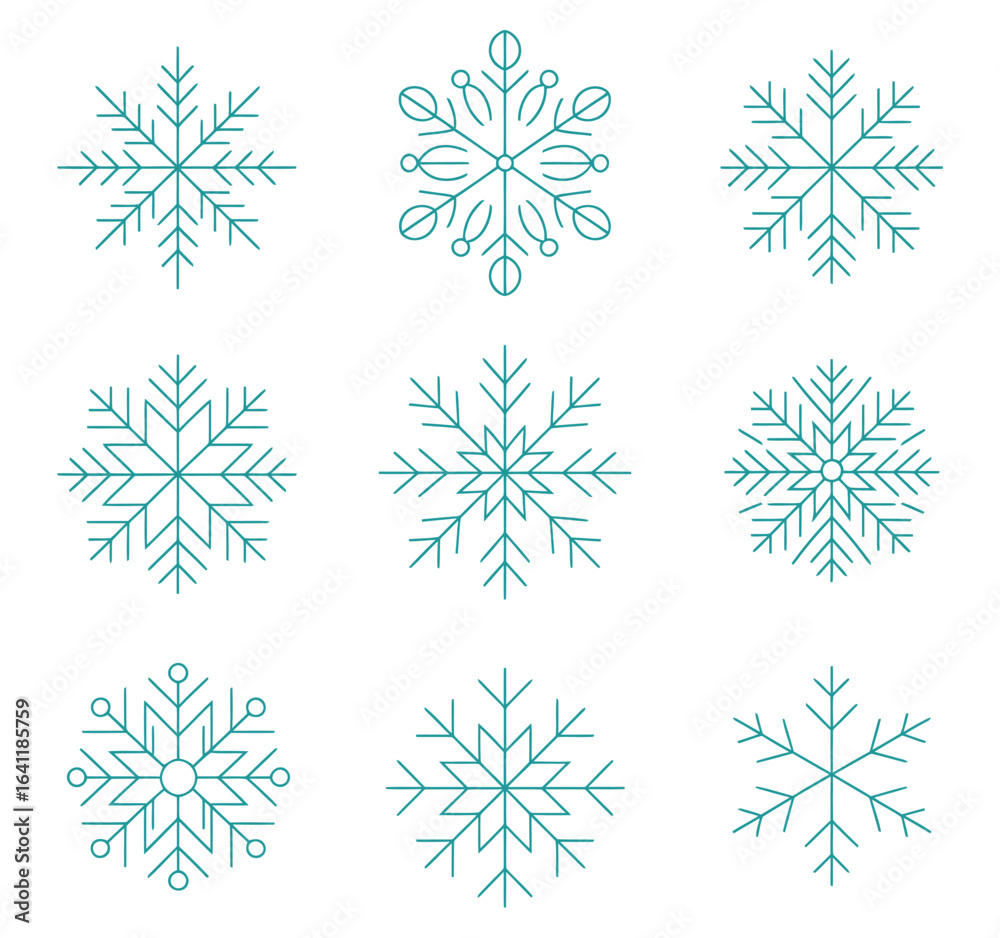 Fototapeta premium Black and white snowflake designs winter cold