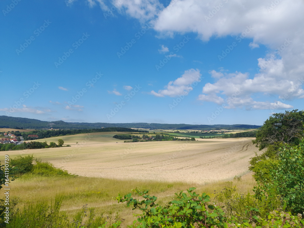 Obraz premium Landschaft bei Timmenrode, Harz