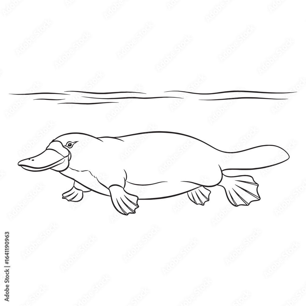 Obraz premium Smooth Platypus Line Art – Platypus Vector Outline Drawing with Clean Silhouette – Platypus Drawing – Vector of Platypus – Platypus Outline