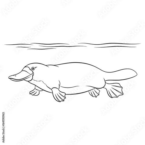Smooth Platypus Line Art – Platypus Vector Outline Drawing with Clean Silhouette – Platypus Drawing – Vector of Platypus – Platypus Outline

