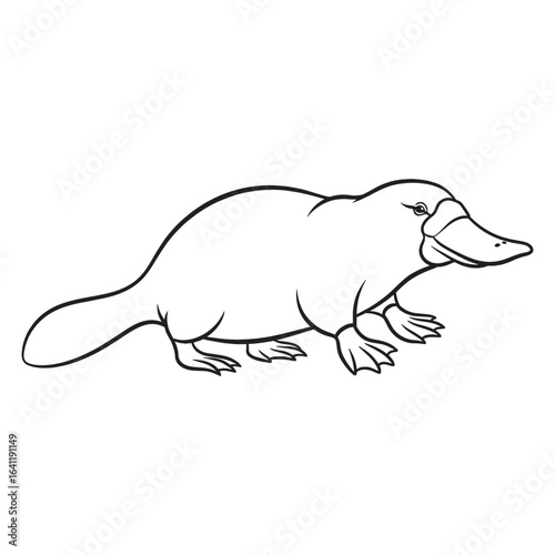Minimalist Platypus Line Art – Platypus Vector Illustration Artistic Drawing with Smooth Curves – Platypus Drawing – Line Art Drawing of Platypus – Platypus Icon

