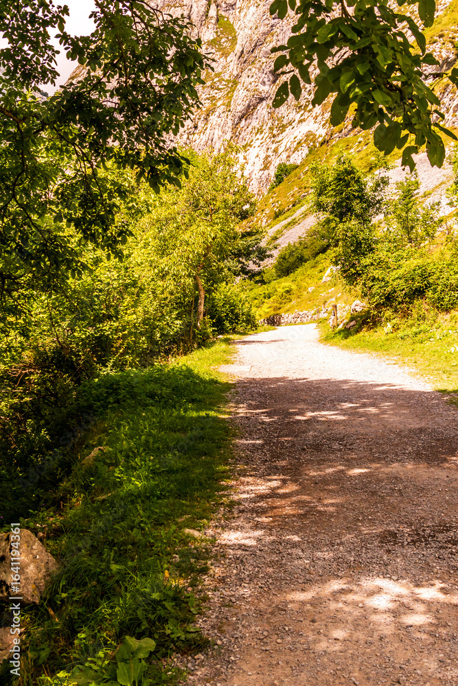 Naklejka premium Sendero en Bulnes, Picos de Europa.