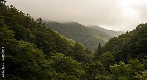 Fototapeta Naklejka Na Ścianę i Meble -  tone warna beige, olive, dan emerald blue sedang diminati Pastikan ada ruang kosong (copy space) di foto untuk memudahkan desainer pakai