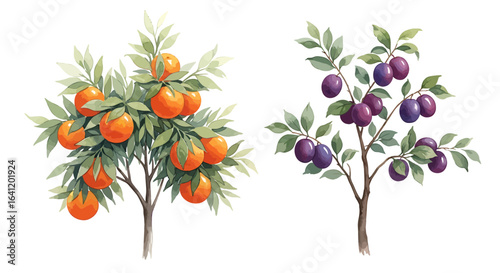 Vibrant watercolor illustration of orange and plum trees.