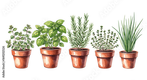 Fresh herbs in pots: a vibrant array of culinary delights.