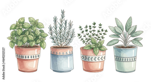 Fresh herbs in colorful pots ready to bring flavor to your kitchen.