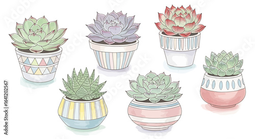 A vibrant arrangement of succulents, showcasing their diverse colors and forms.