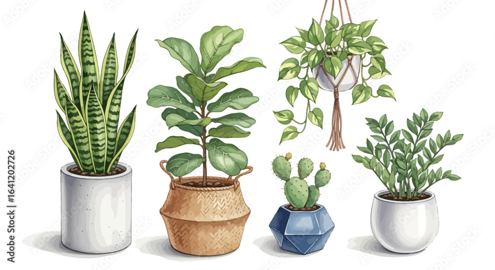 Obraz premium An array of vibrant potted plants, offering a touch of nature and tranquility.