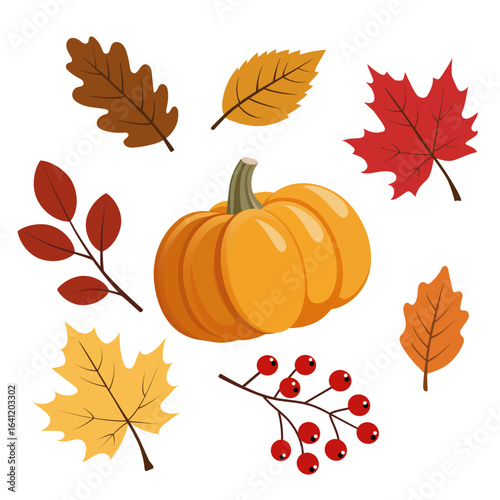 Vector set featuring a collection of autumn elements, colorful fall leaves and pumpkin. For seasonal design projects, Thanksgiving graphics, invitations, packaging, and autumn-themed decorations. 