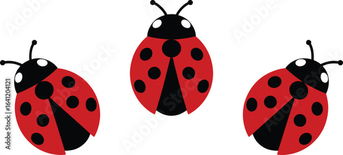 Ladybug ladybugs red black spots insect beetle bug animal nature cute vector illustration graphic design art silhouette