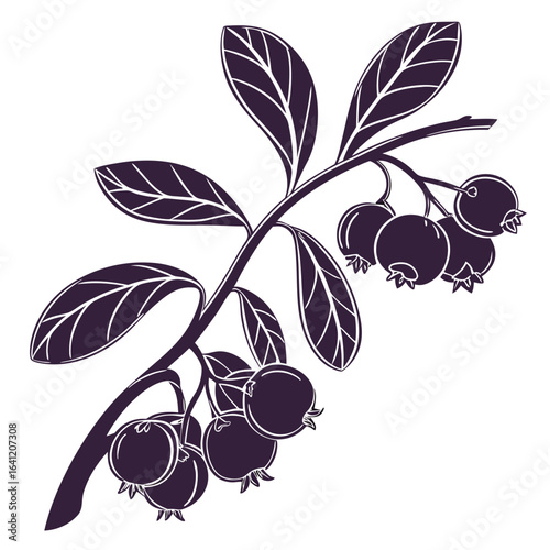 lingonberry vector illustration