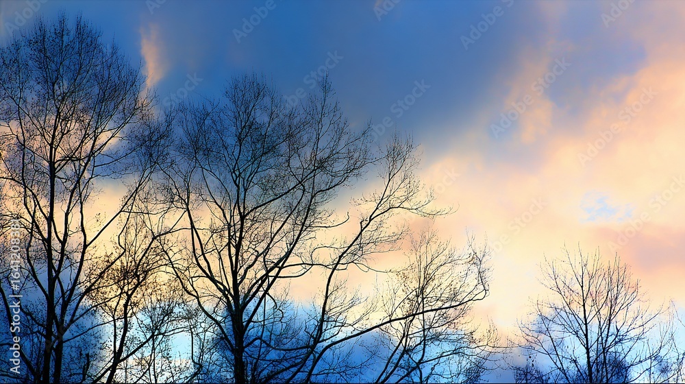 Obraz premium Cloudy Sky in Blue and Orange with Tree Silhouettes at Sunset – Indigo and Amber Clouds Blending, Dark Tree Outlines Stretching Against the Glowing Evening Horizon