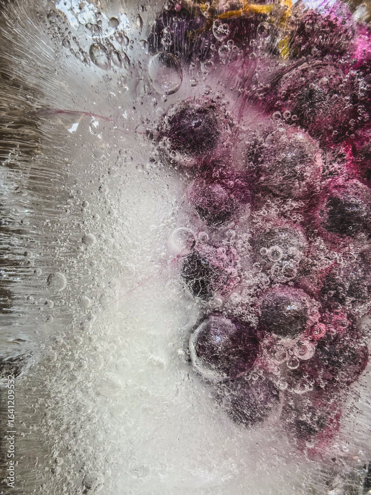 Fototapeta premium Grapes Frozen in Ice with Air Bubbles
