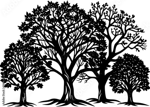 Group of Trees Silhouette Forest