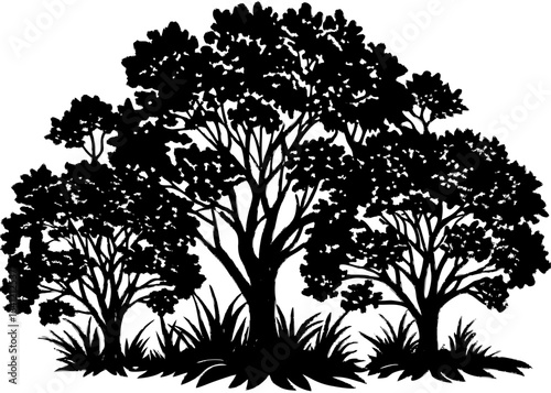 Group of Trees Silhouette Forest