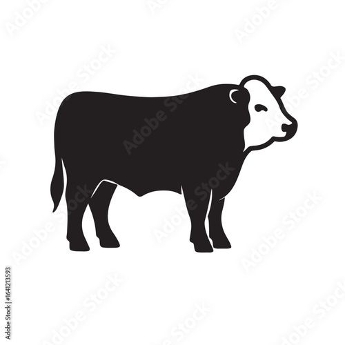 Angus cattle silhouette vector illustration