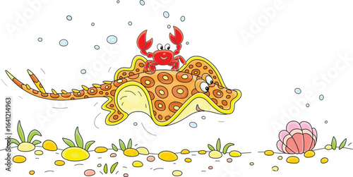 Funny spotted ray and small red crab swimming over a sandy bottom with colorful round stones and seaweeds in a tropical sea lagoon, vector cartoon illustration on white