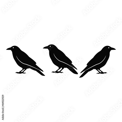 Wallpaper Mural Vector art of three crows isolated on white background Torontodigital.ca