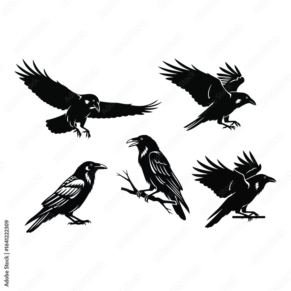 Fototapeta premium Vector art of five crow silhouettes isolated on white background