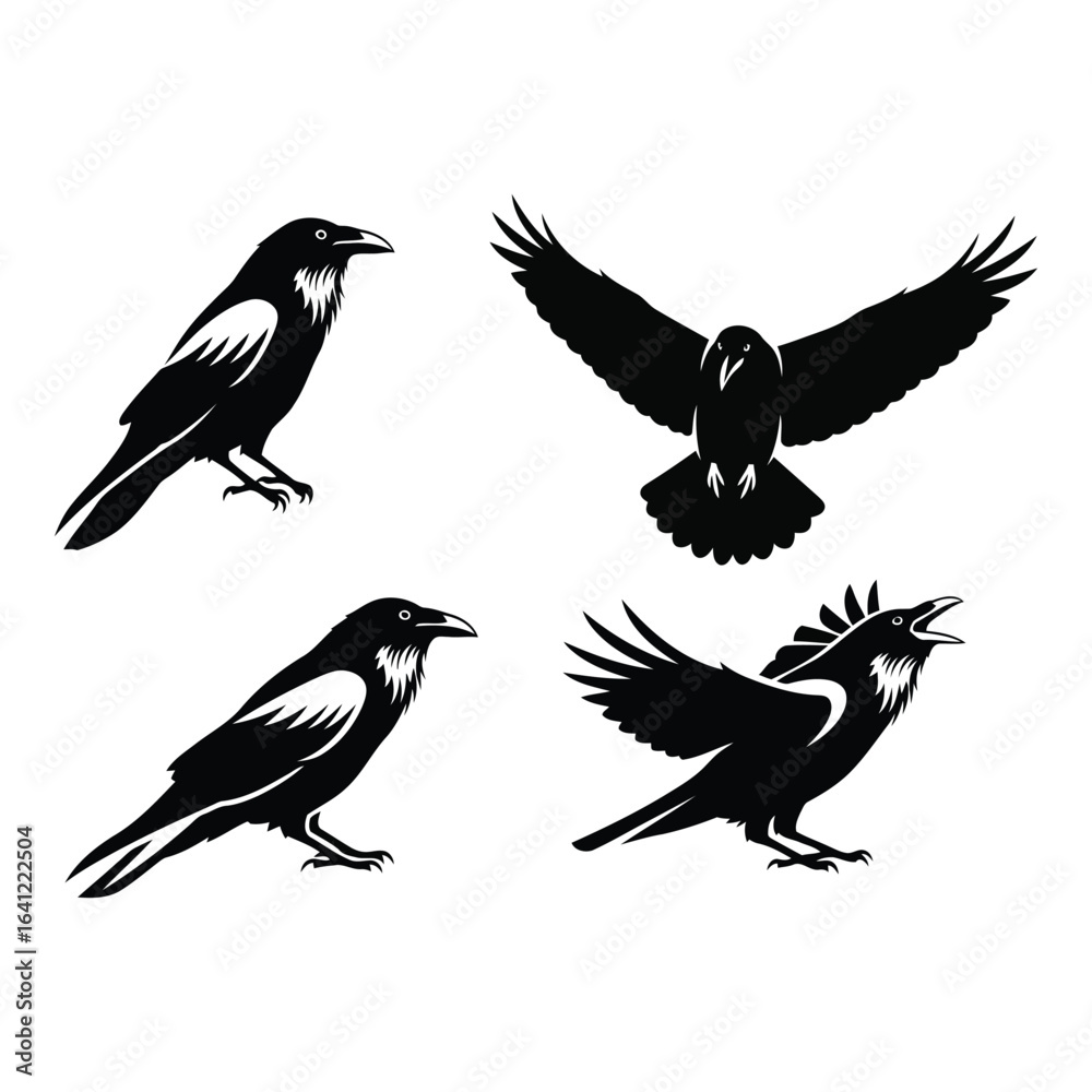 Obraz premium Vector art of four crow silhouettes isolated on white background